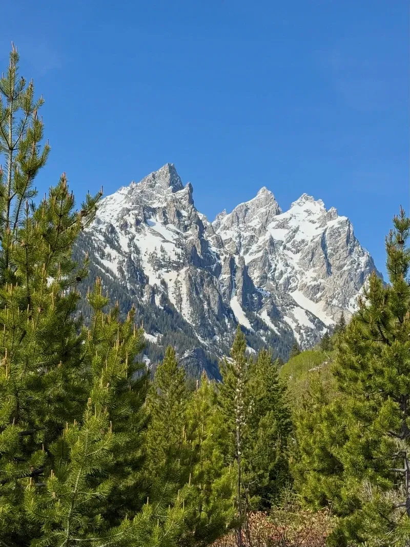 Grand Teton view 1