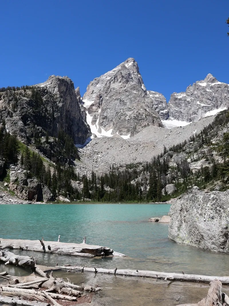 Grand Teton view 2