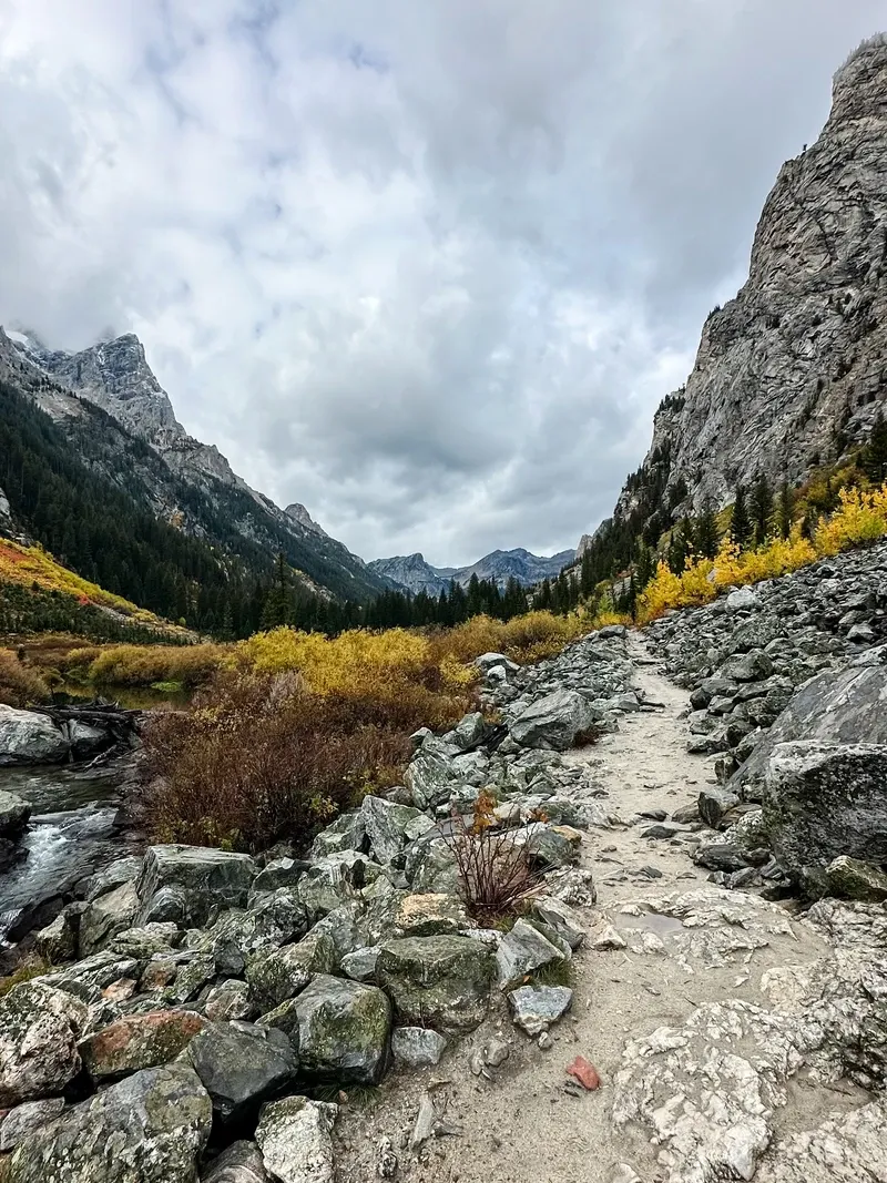 Grand Teton view 4
